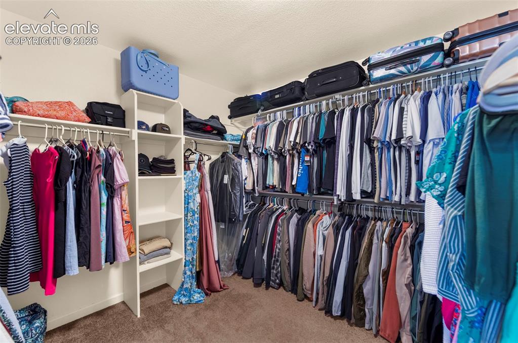 Image 21 of 41: Walk-in closet featuring carpet flooring, built-in shelving, multiple hangi