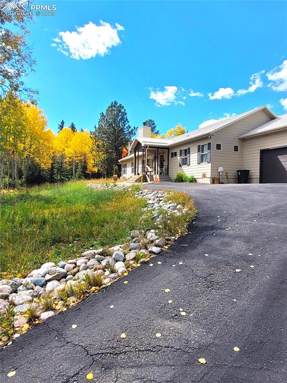 Image 4 of 50: Aspen gold in your very own yard! Fall 2024