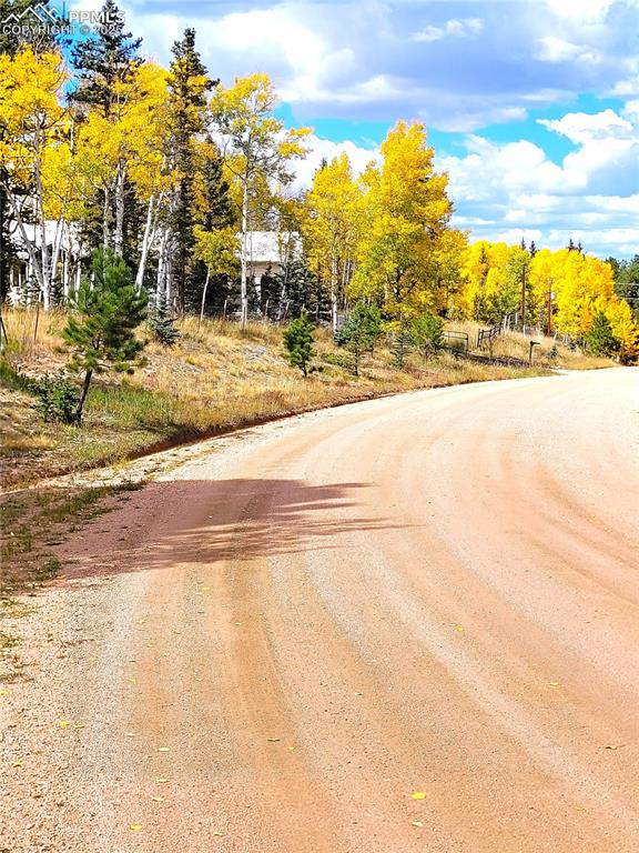 Image 6 of 50: Golden Aspens to welcome you home!  Fall 2024