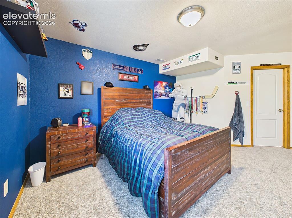 Image 33 of 50: Spacious lower-level bedroom with plush carpeting, bold accent walls, and p