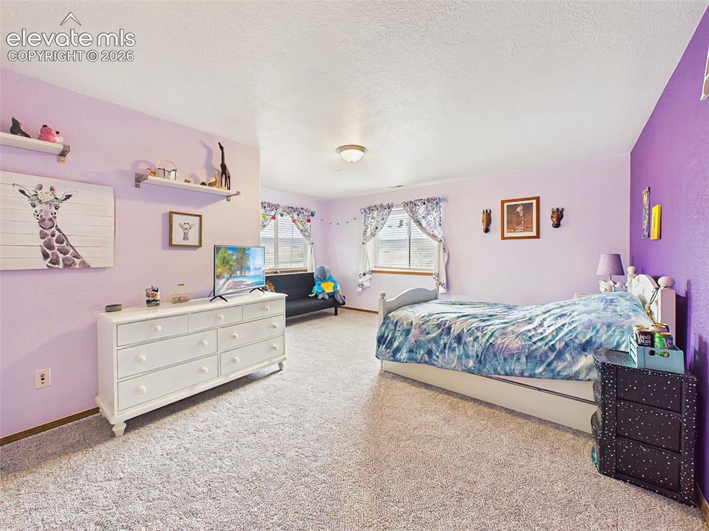 Image 34 of 50: Comfortable Lower level bedroom featuring ample natural light, neutral carp