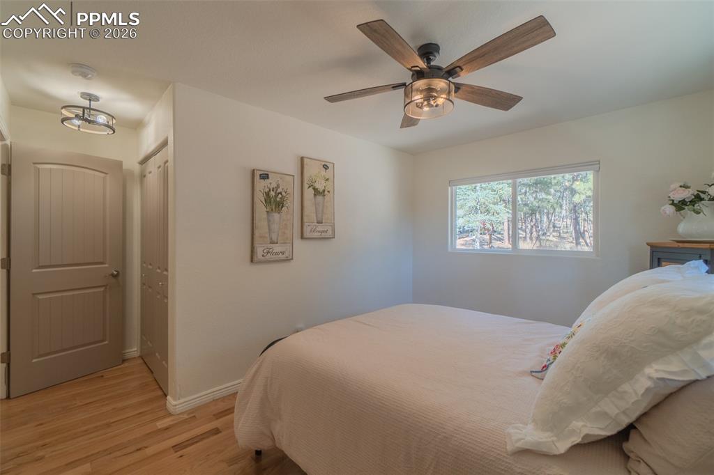 Image 21 of 50: Bedroom on main level 