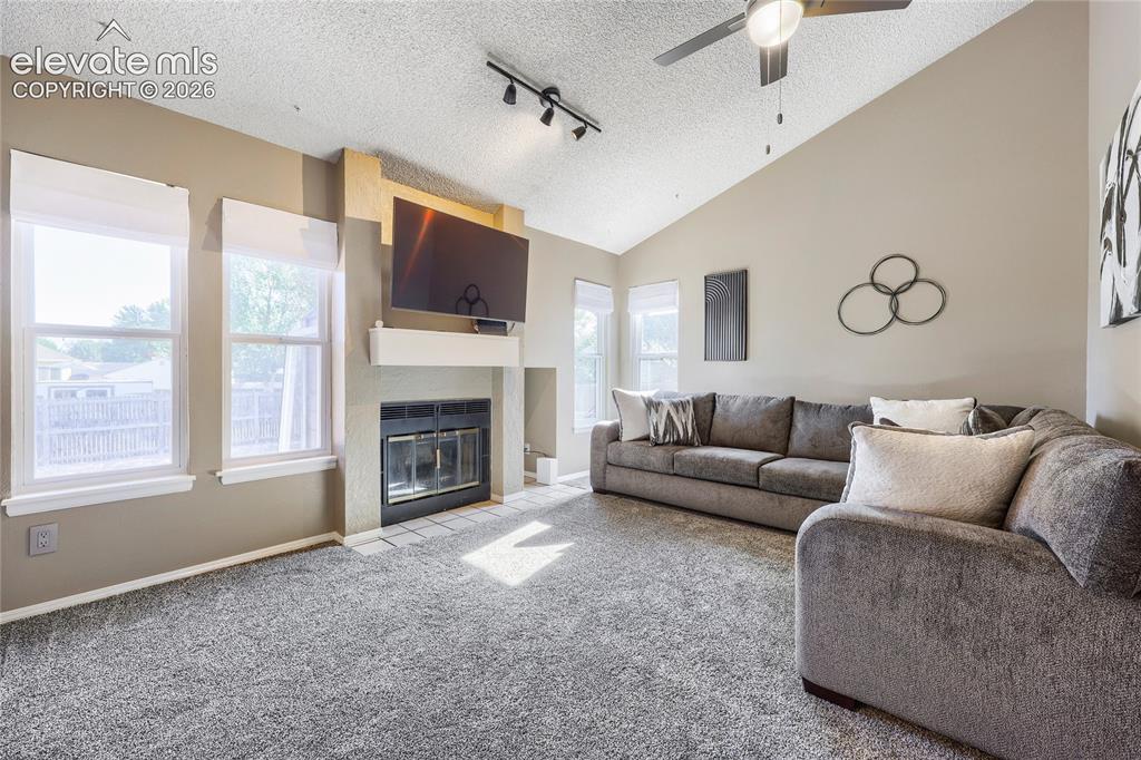 Image 6 of 19: Vaulted ceiling, ceiling fan, fireplace with mantel, track lighting, and so