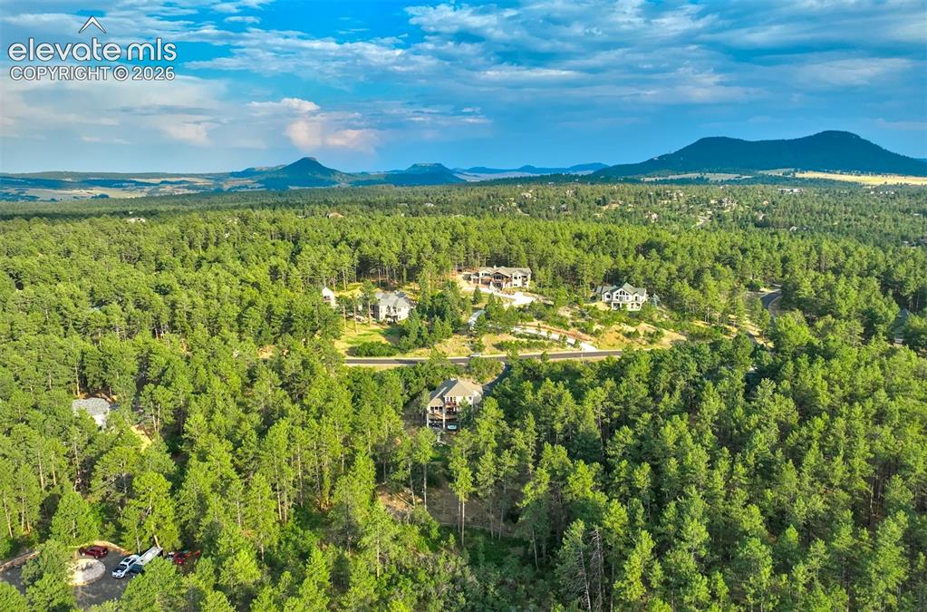 Image 40 of 40: Expansive forested setting with distant mountain features