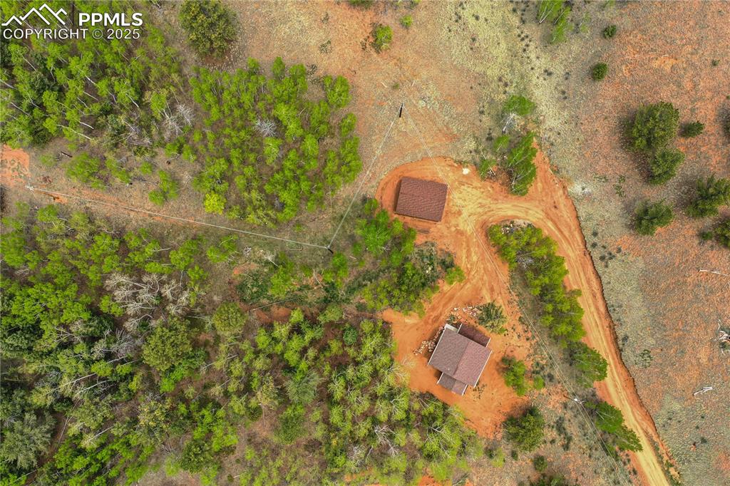 Image 45 of 45: Bird