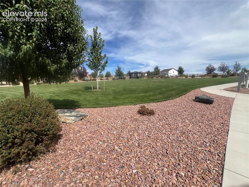 Image 31 of 35: Manicured lawn with mature trees and a concrete pathway