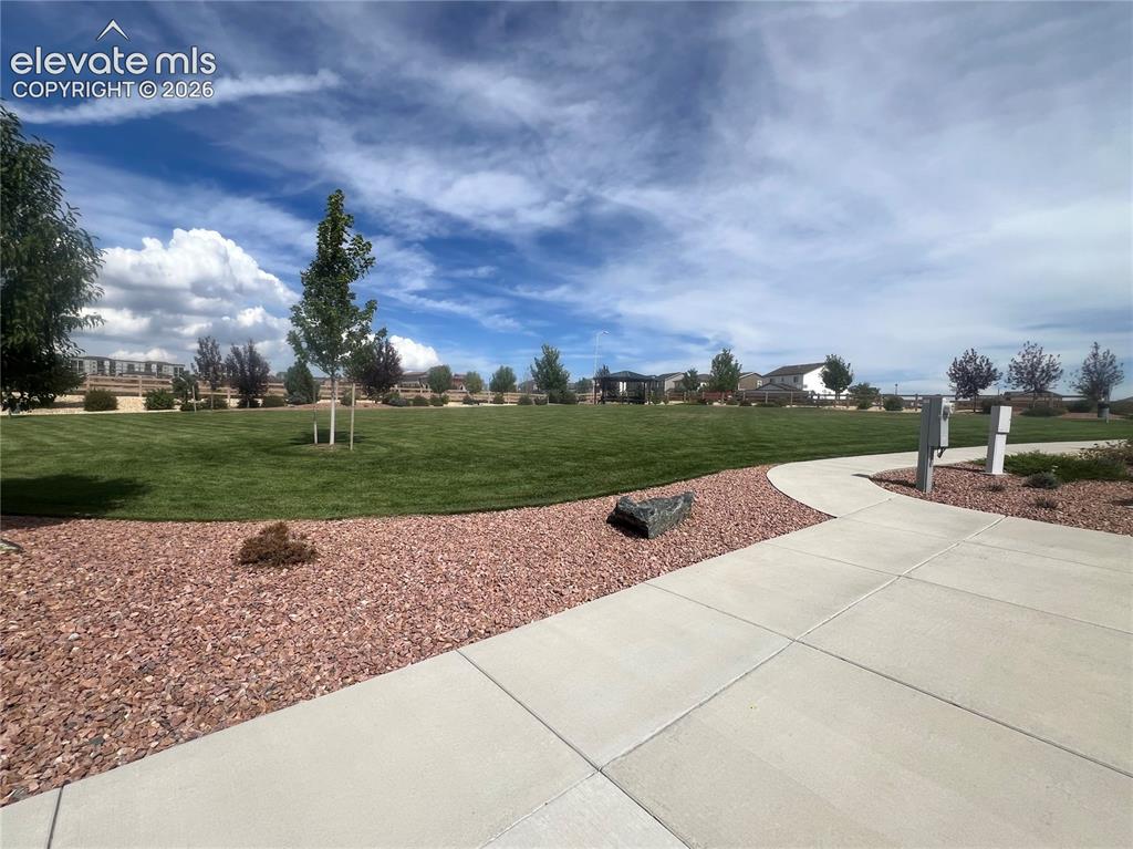 Image 32 of 35: Expansive green space featuring mature trees, a curved concrete pathway, an