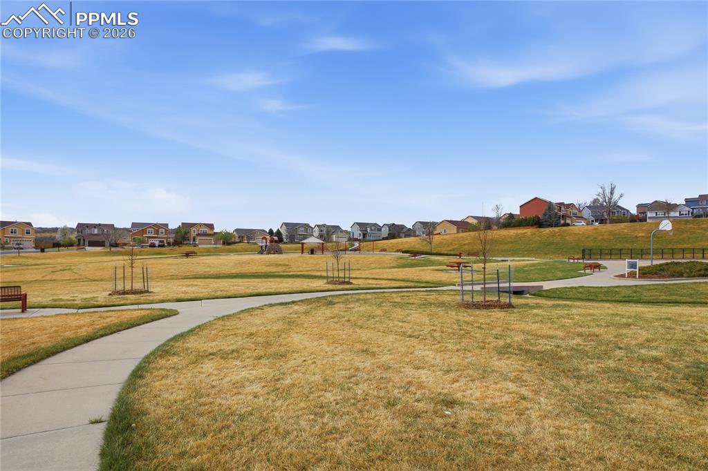 Image 30 of 30: Community