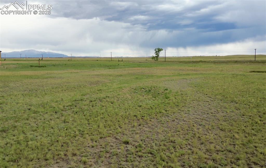 Image 20 of 21: Yard