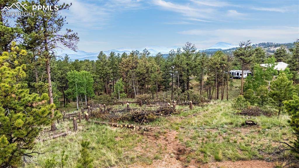 Image 15 of 22: Other