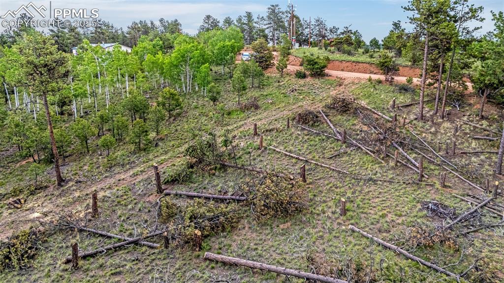 Image 16 of 22: Yard