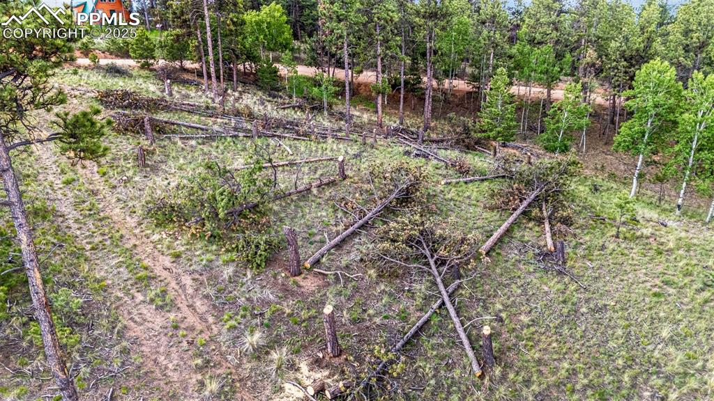 Image 17 of 22: Other