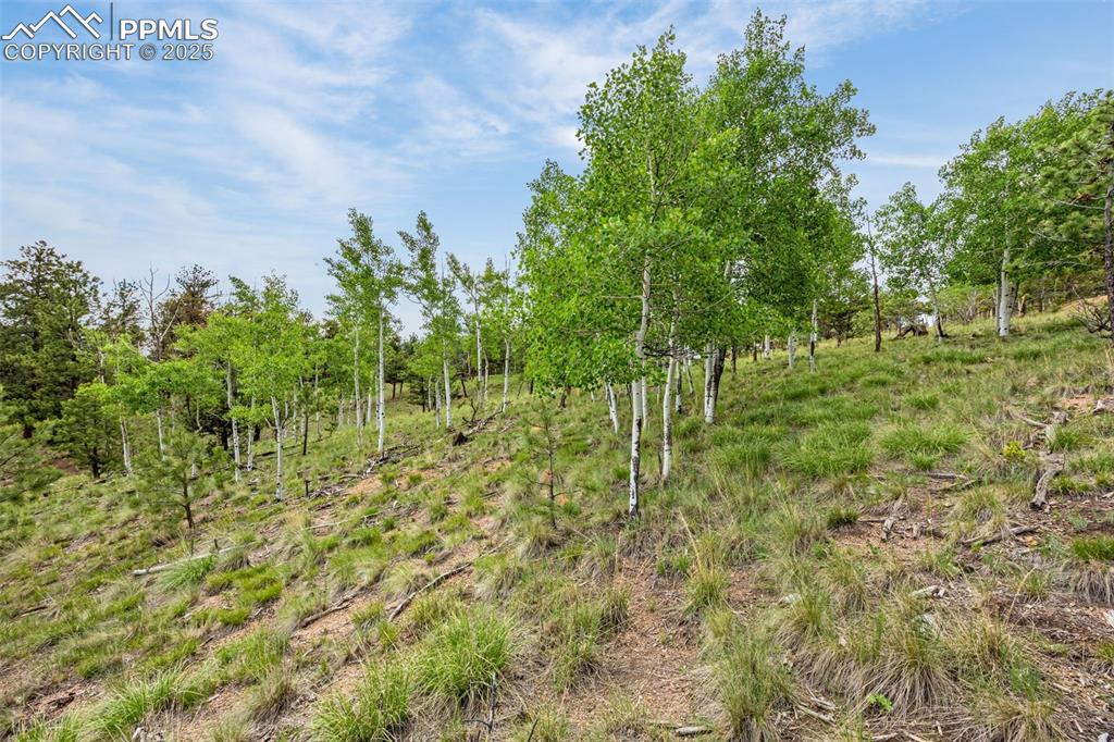 Image 19 of 22: Other