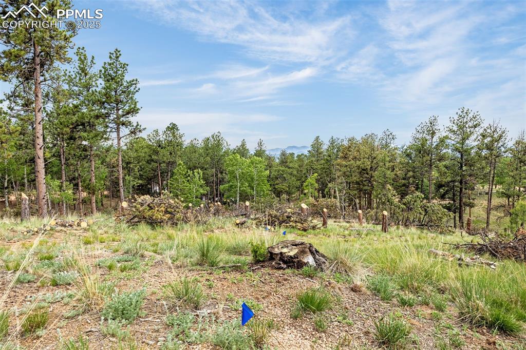 Image 2 of 22: Other