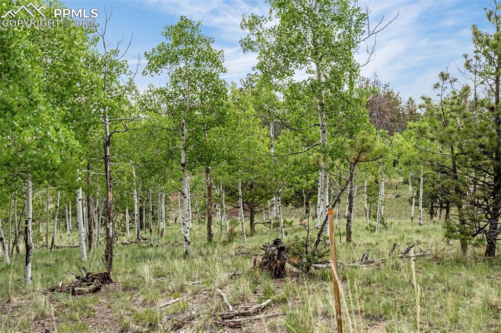 Image 20 of 22: Other