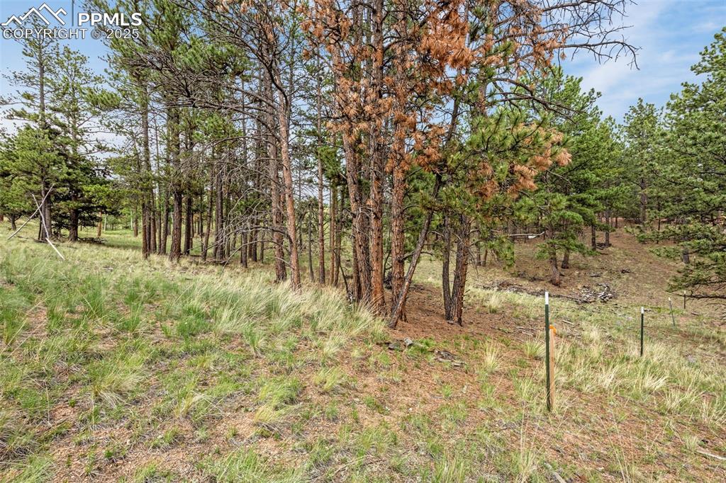 Image 22 of 22: Other