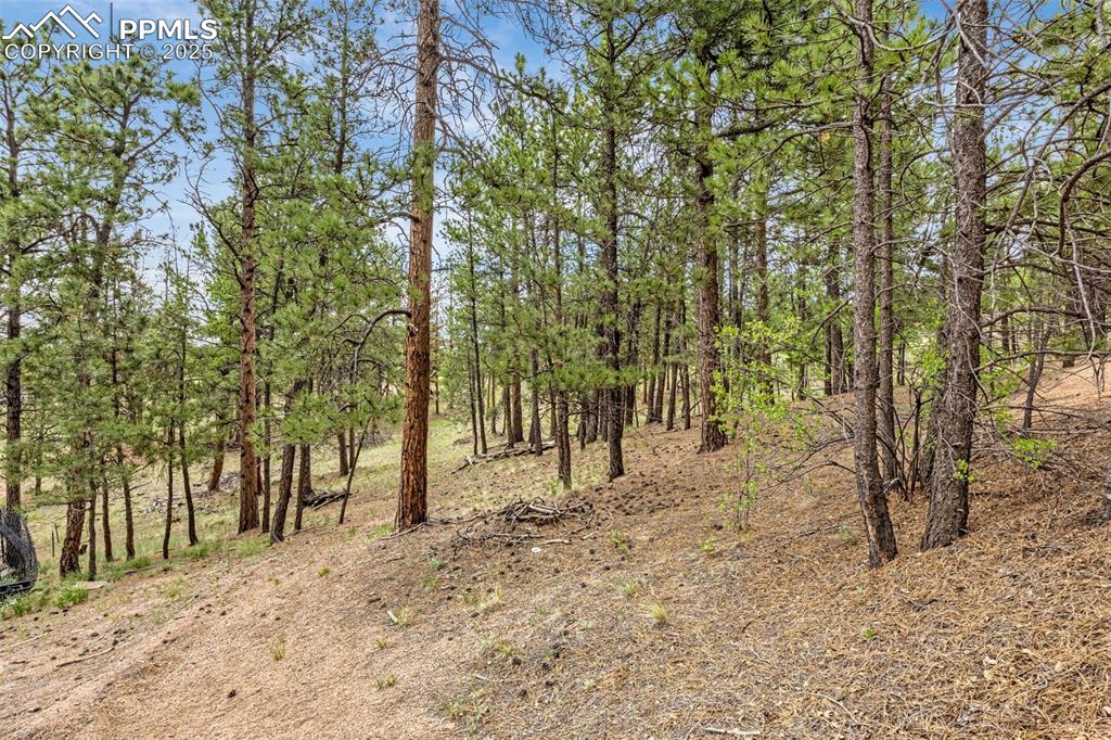 Image 3 of 22: Other