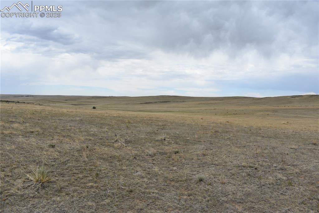 Image 11 of 15: Other