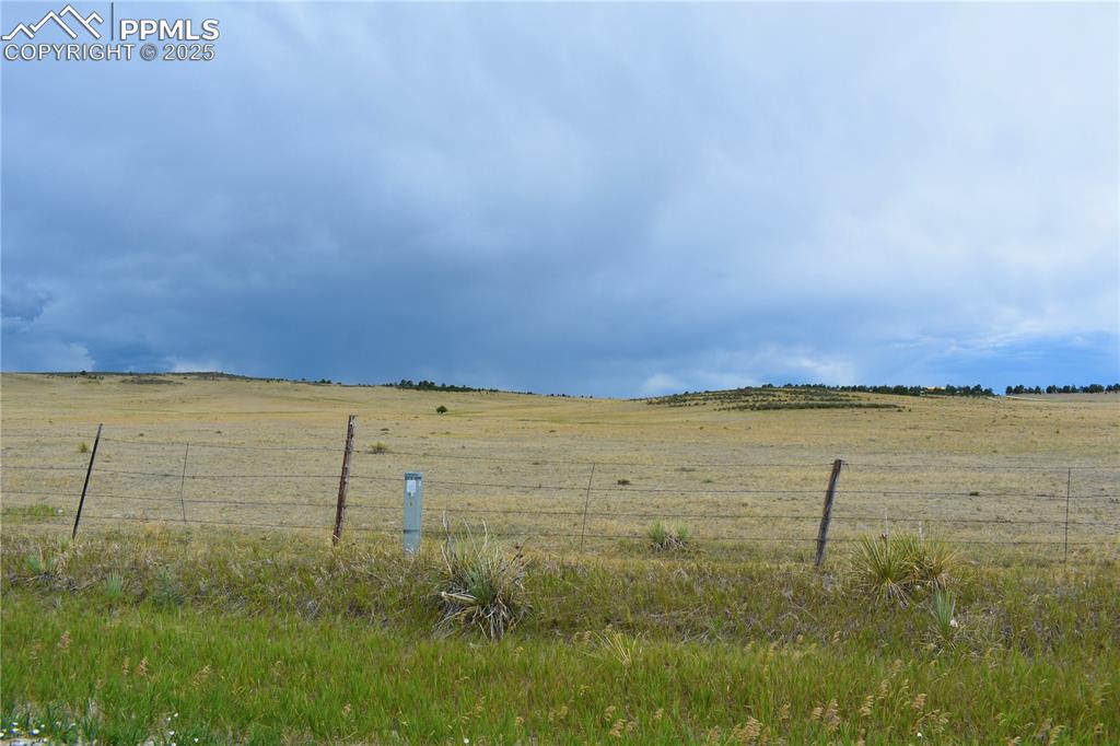 Image 6 of 15: Yard