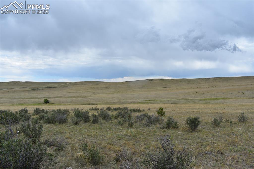 Image 7 of 15: View