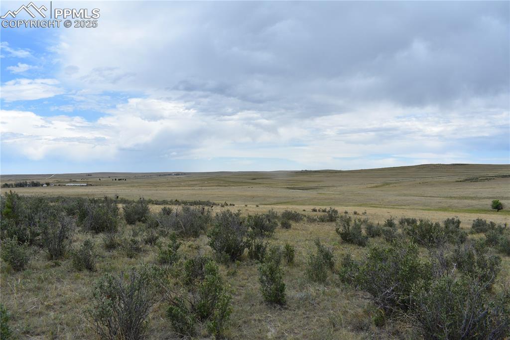 Image 8 of 15: View