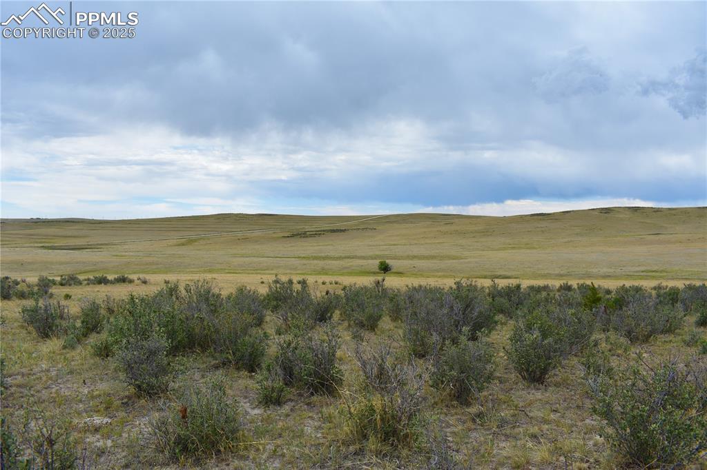 Image 9 of 15: View