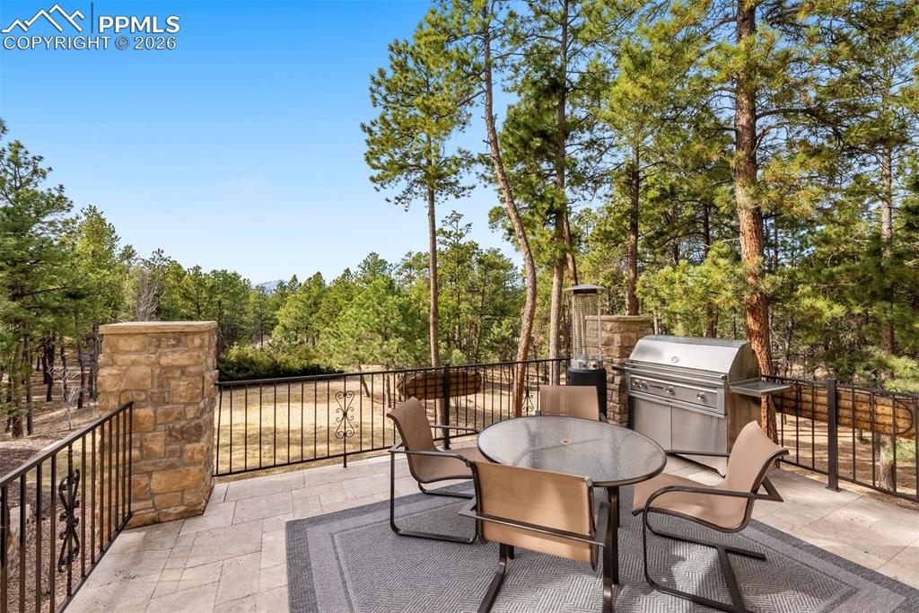 Image 10 of 50: Patio