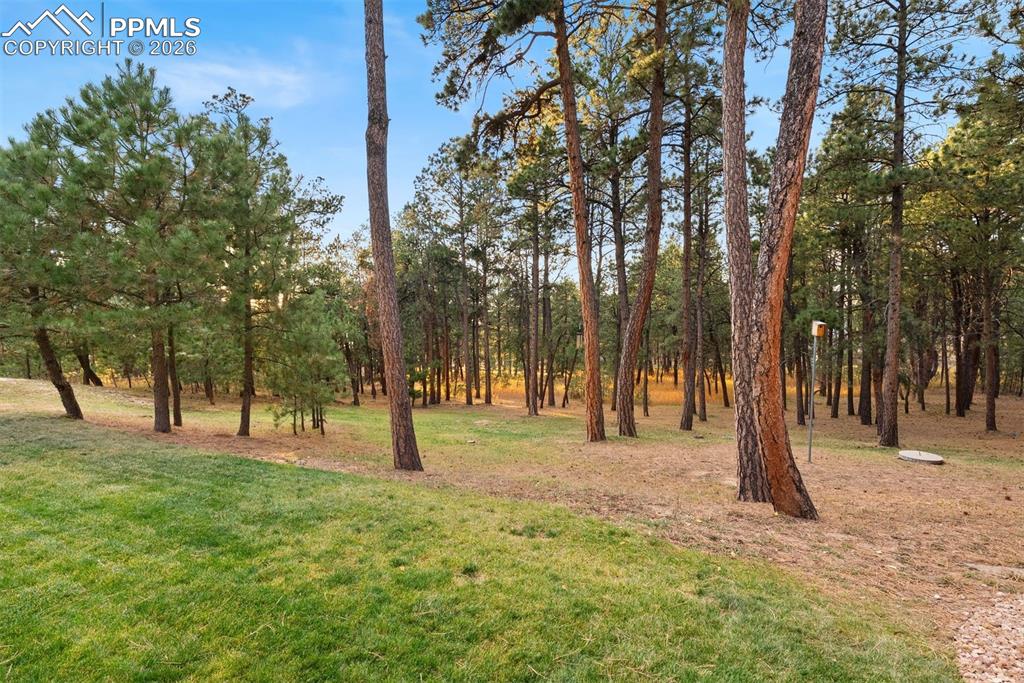 Image 49 of 50: Yard