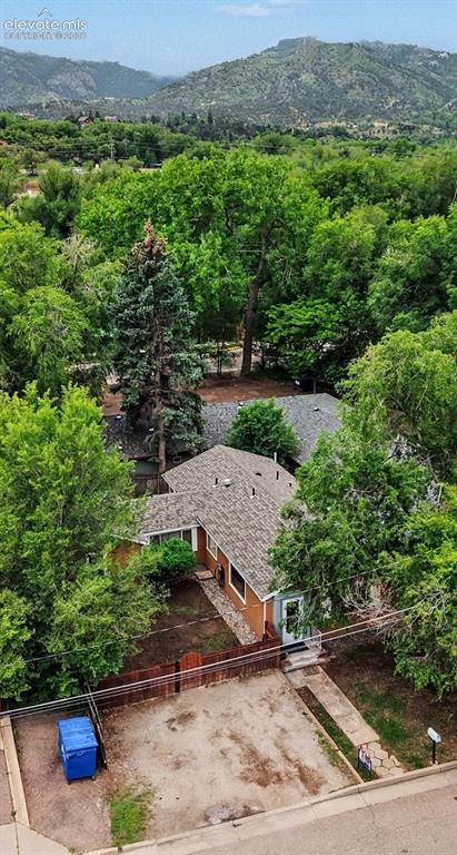 Image 22 of 25: Tall trees surrounding house and neighborhood.