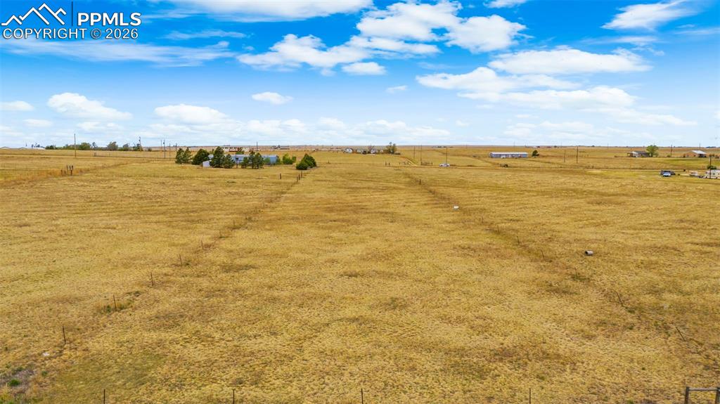 Image 9 of 14: Yard