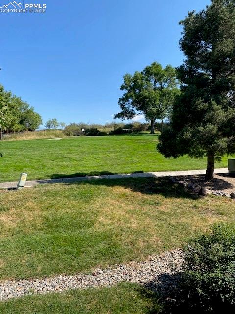 Image 19 of 19: Community