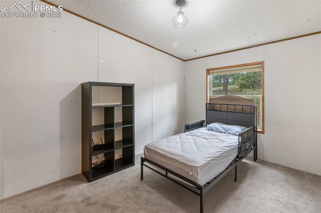 Image 26 of 37: Bedroom with ornamental molding, light carpet, and a textured ceiling
