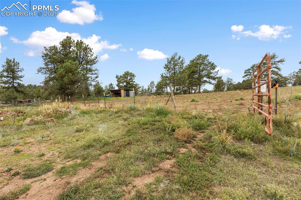 Image 33 of 37: View of yard with a view of horse pasture and an outdoor structure