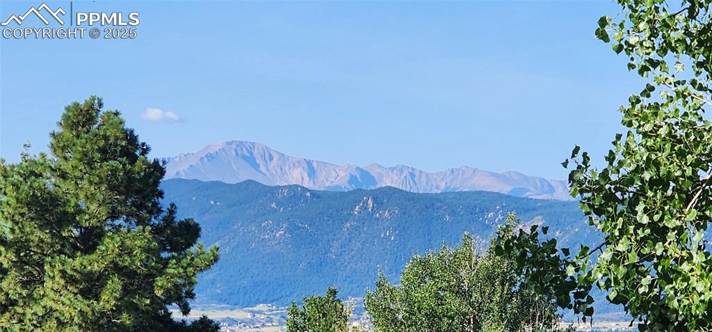 Image 5 of 48: Front yard views!