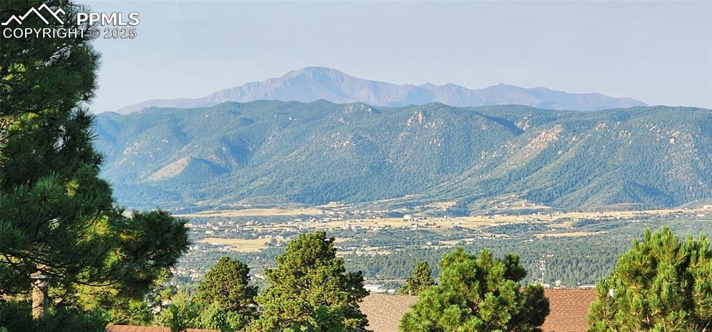 Image 6 of 48: Treetop views from Primary Bedroom!