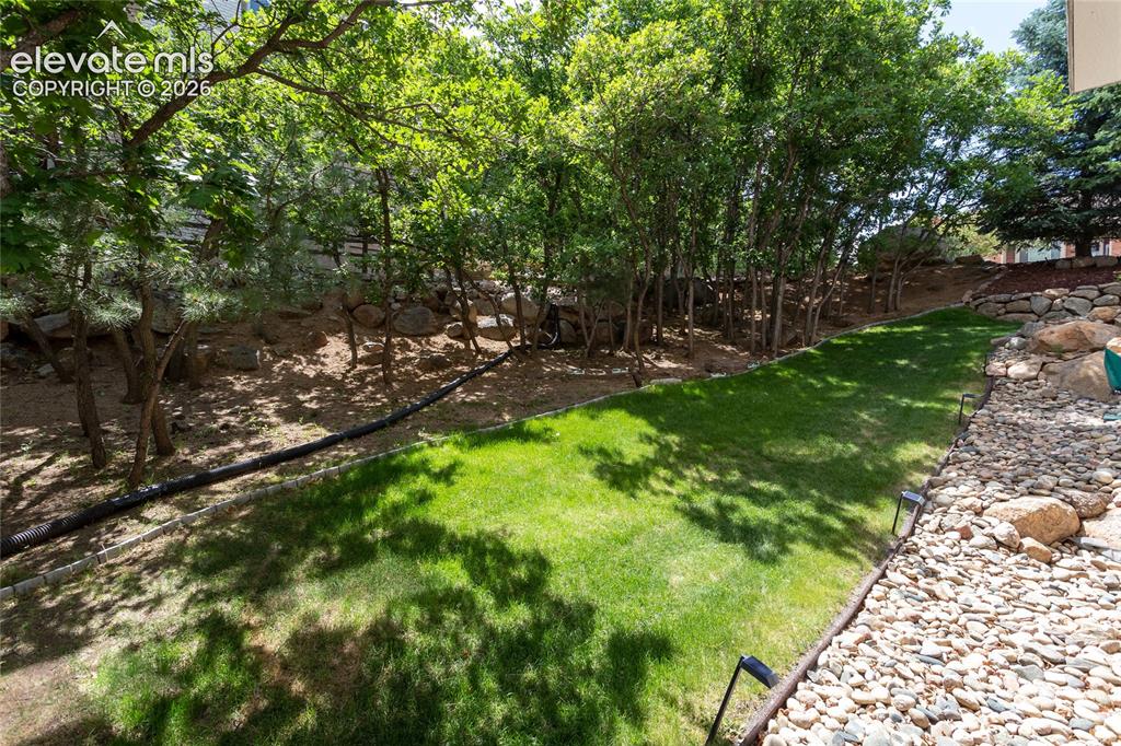 Image 42 of 50: Yard