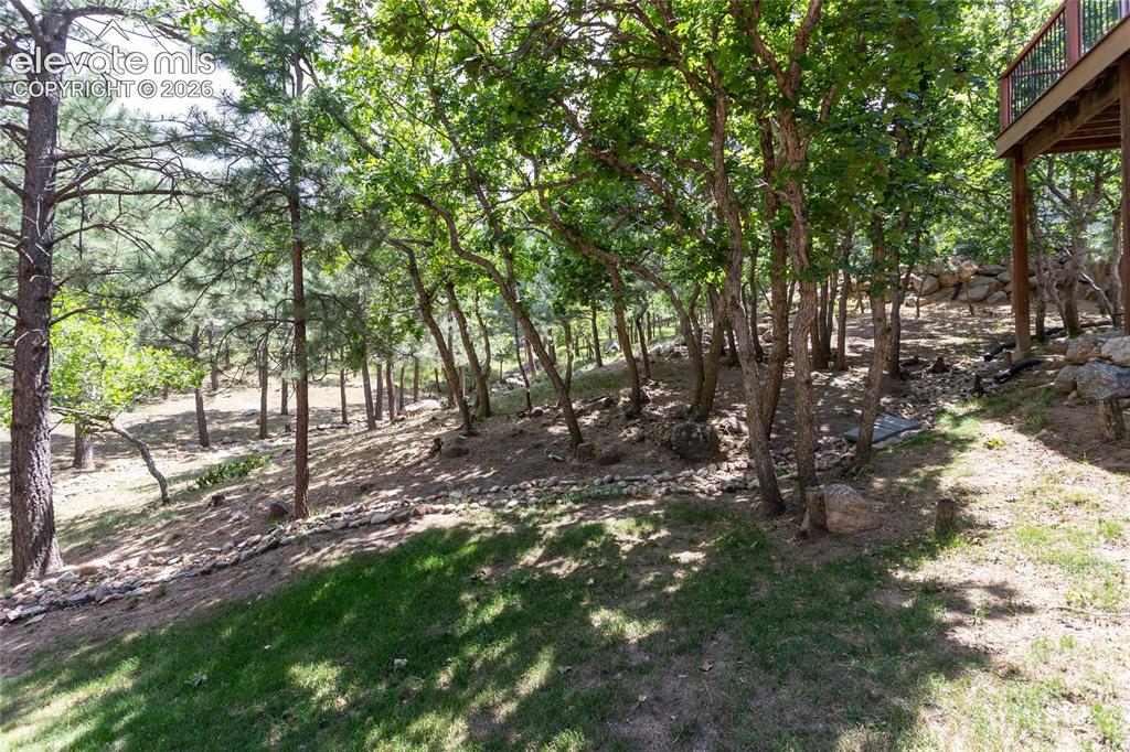 Image 44 of 50: Yard