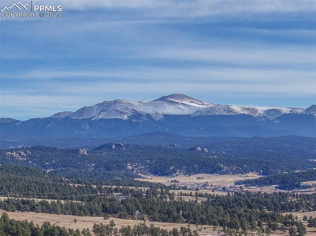 Image 49 of 50: No Description Available