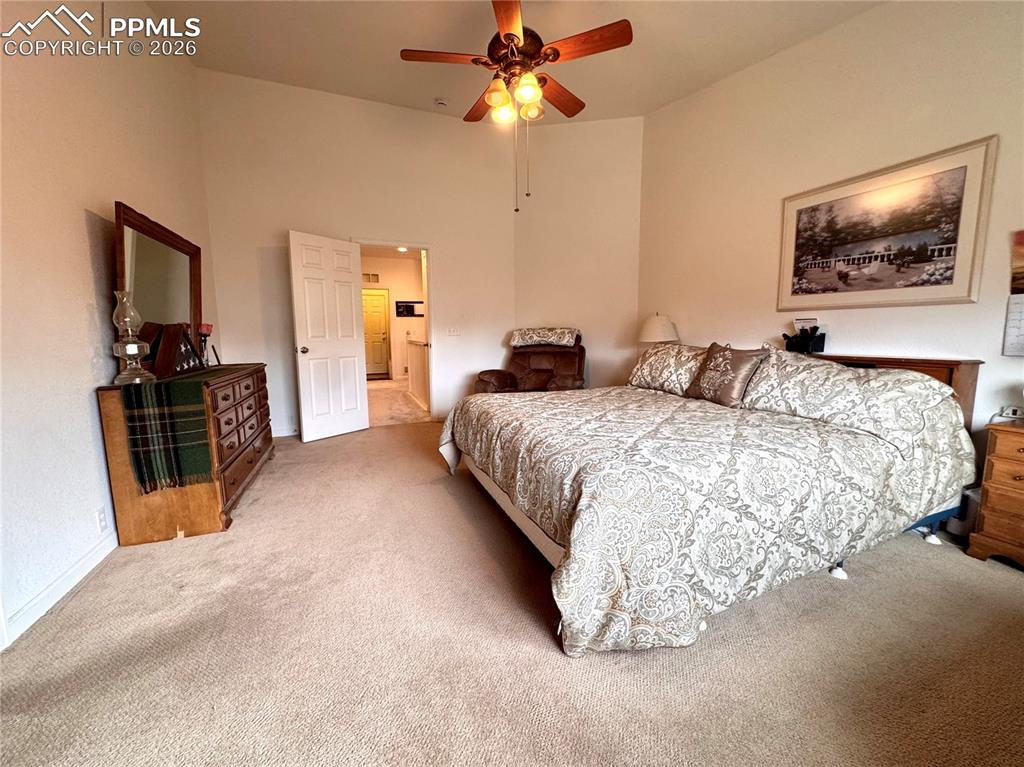 Image 19 of 35: Primary