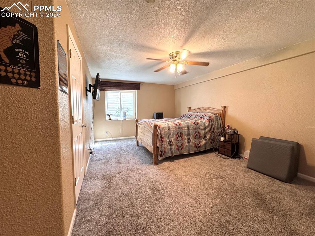 Image 24 of 35: Basement Large Bedroom with walk in closet
