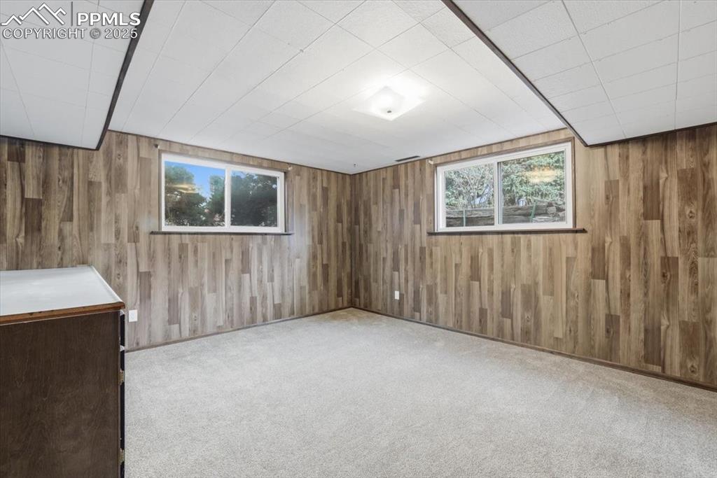 Image 37 of 50: Additional living space featuring light carpet and wood walls