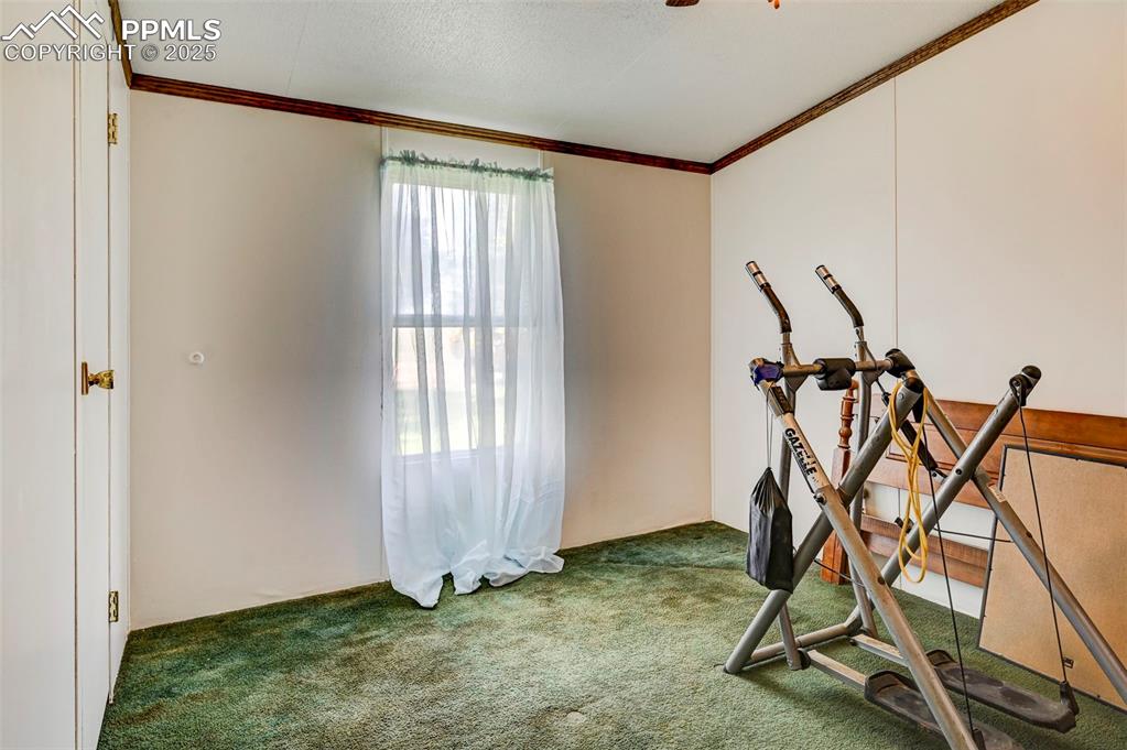 Image 18 of 44: Bedroom 3 featuring carpet, crown molding, and a textured ceiling