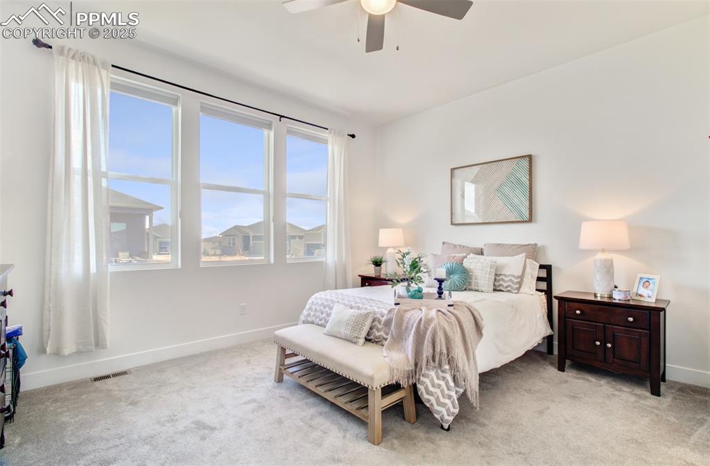 Image 21 of 48: The spacious owner