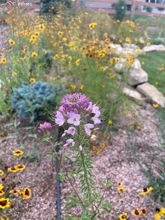 Image 45 of 48: Other