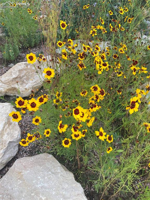 Image 46 of 48: Other