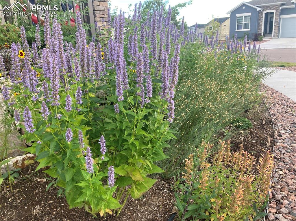 Image 47 of 48: Other