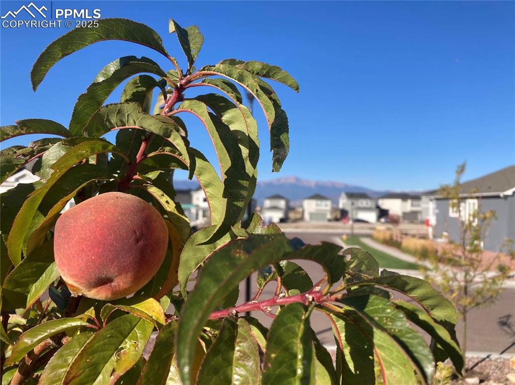 Image 48 of 48: Other