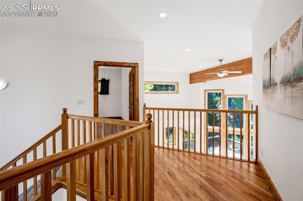 Image 22 of 50: Other