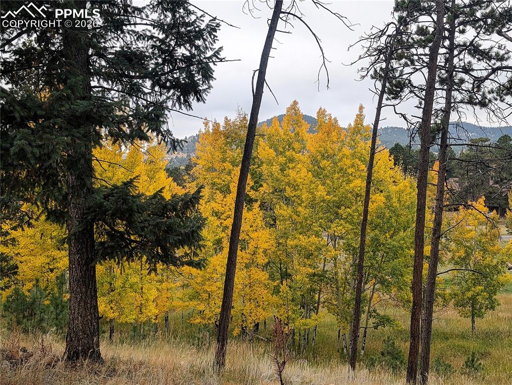 Image 42 of 50: Yard