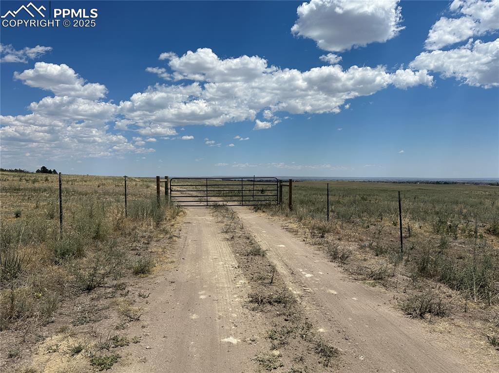 Image 3 of 9: Community